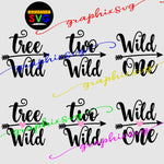 Wild One, Wild Two, Wild Three SVG, Birthday SVG, EPS, PNG (layered by color)