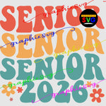 senior 2025 svg bundle , Senior design eps png file [all layered by color]