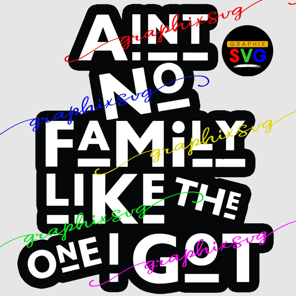 Ain't No family like the one I got, Family reunion SVG, EPS, PNG [all layered by color]